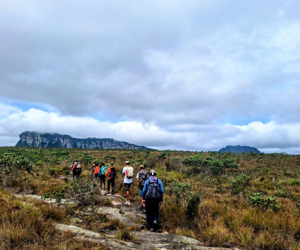 10 Trilha Capão Pati